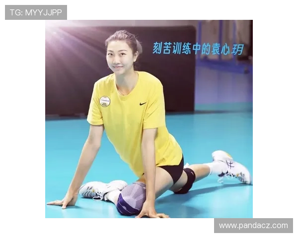 袁心玥带领中国女排重返巅峰的奋斗历程与成长故事